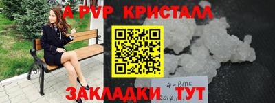 амф Можга