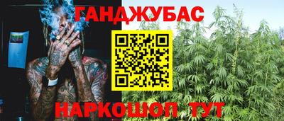 амф Можга