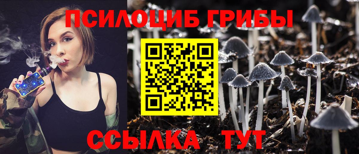Псилоцибиновые грибы GOLDEN TEACHER  цены   Барабинск  Псилоцибиновые грибы ЛСД  Вход с VPN 